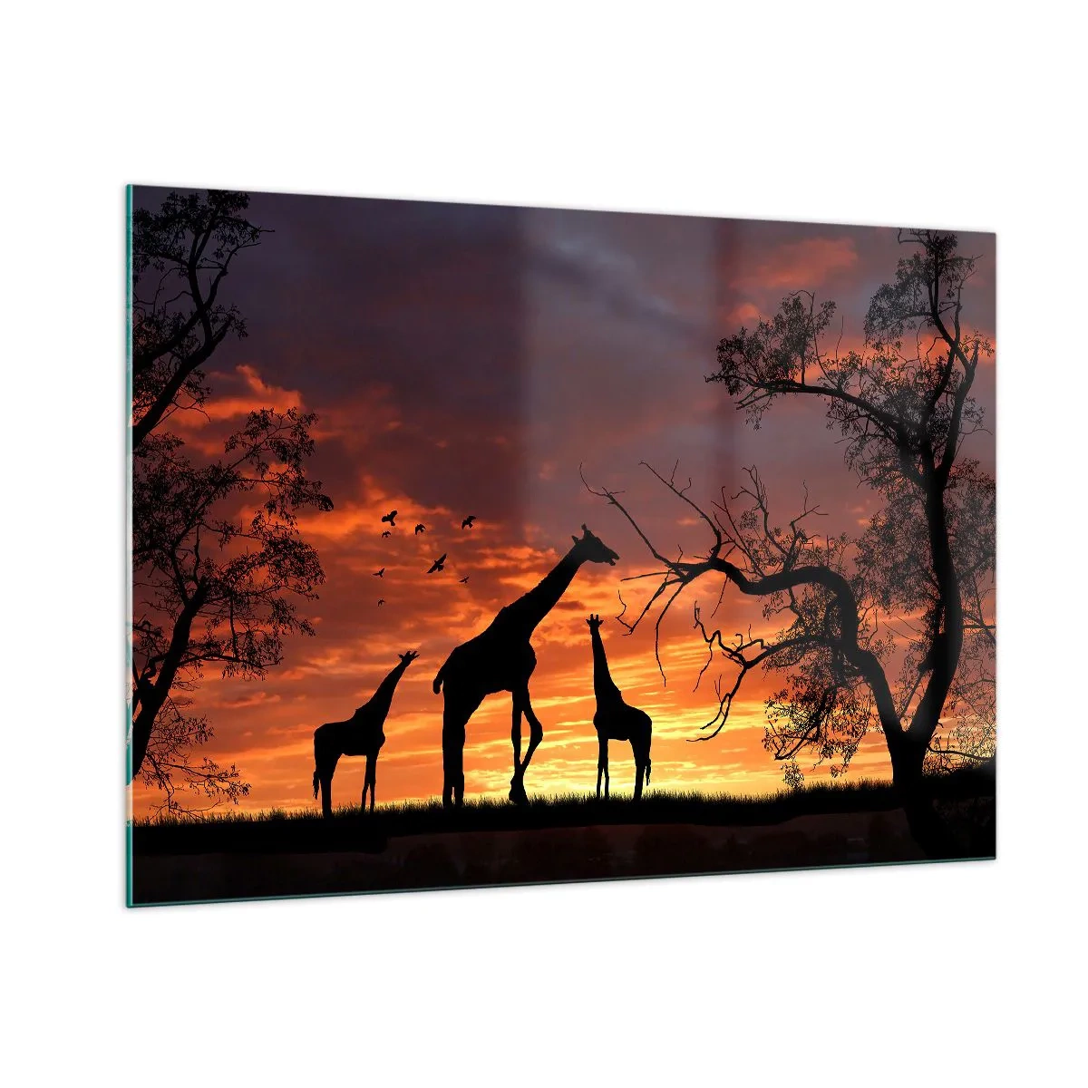 Impression sur verre - Image sur verre - Silhouettes de girafes sur fond de coucher de soleil dans un paysage africain - 100x70cm - Un petit dîner avec vos proches - Décoration murale moderne pour le salon et la chambre ARTTOR