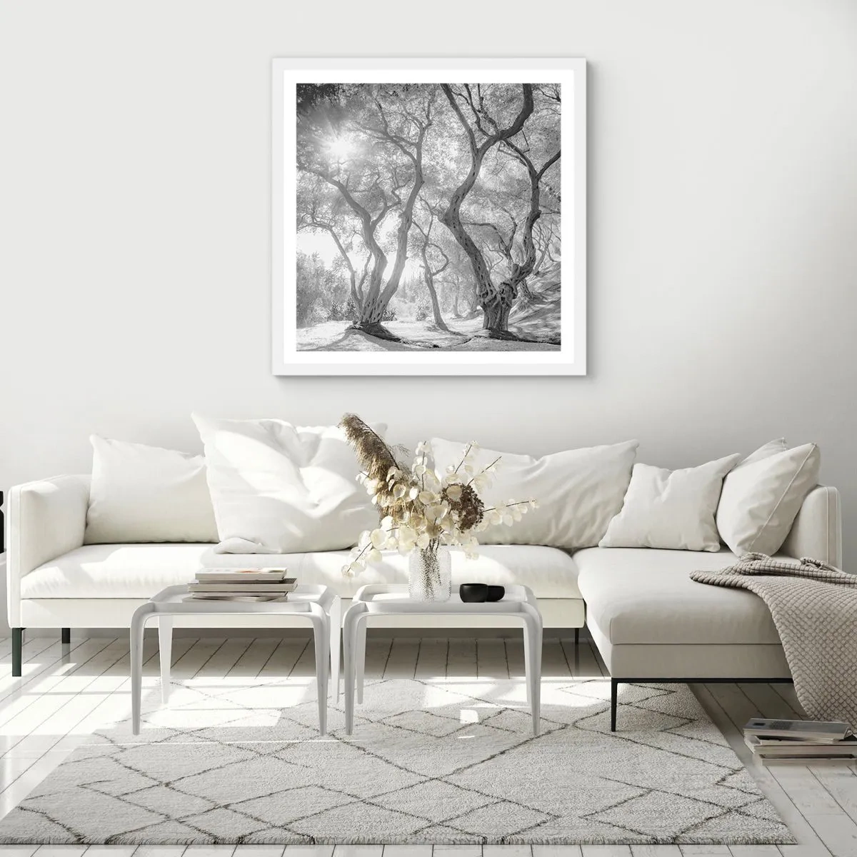 Affiche dans un cadre blanc - Poster - Dans l'oliveraie - 30x30 cm