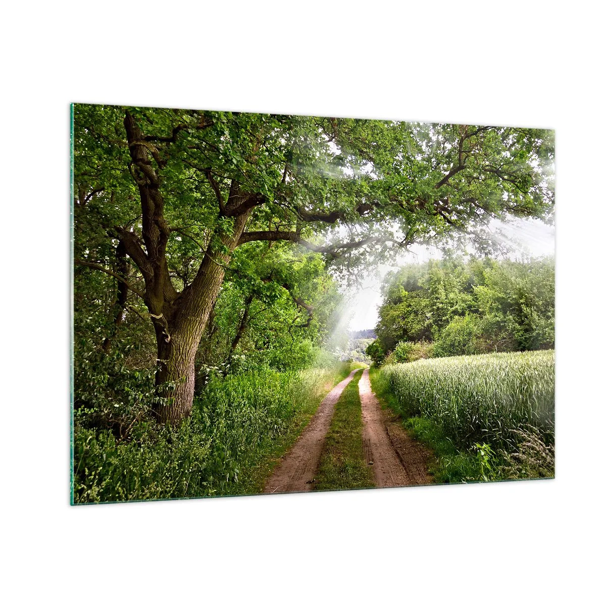 Impression sur verre - Image sur verre - Une route forestière entourée de verdure sous les rayons du soleil - 100x70cm - Et in Arcadia ego - Décoration murale moderne pour le salon et la chambre ARTTOR