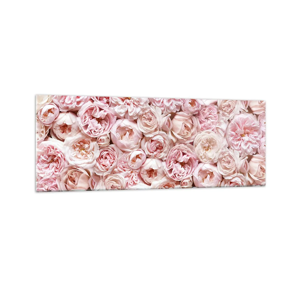 Impression sur verre - Image sur verre - Des roses délicates dans des tons de rose sur toute la surface - 140x50cm - Un lit de roses - Décoration murale moderne pour le salon et la chambre ARTTOR