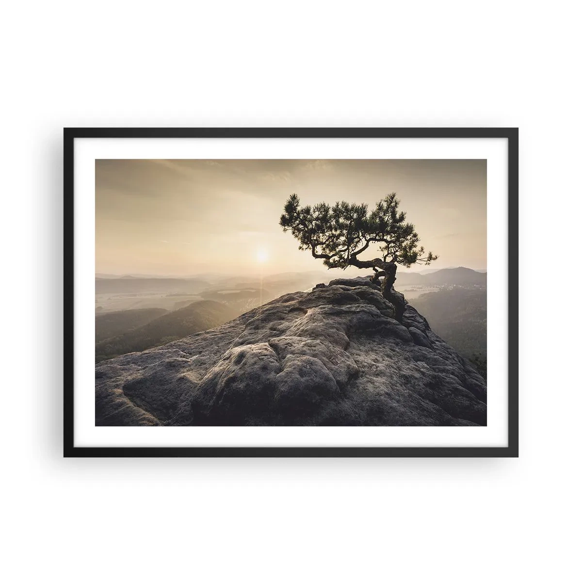 Affiche dans un cadre noir - Poster - Un arbre solitaire sur un pic rocheux au soleil - 70x50cm - La vie gagne toujours - Décoration murale moderne pour le salon et la chambre ARTTOR
