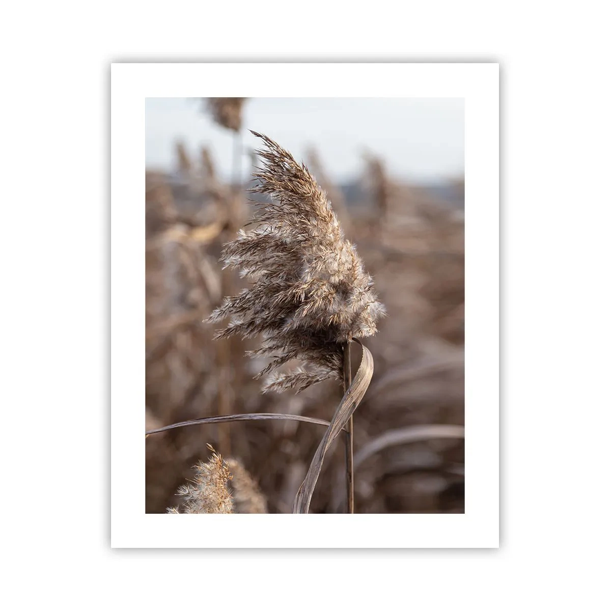 Affiche - Poster - Il est temps de s'envoler avec le vent - 40x50 cm