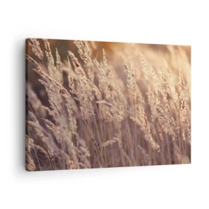Impression sur toile - Image sur toile - Herbes dorées sur fond de soleil couchant - 70x50cm - Prêt à accueillir l'automne - Décoration murale moderne pour le salon et la chambre ARTTOR