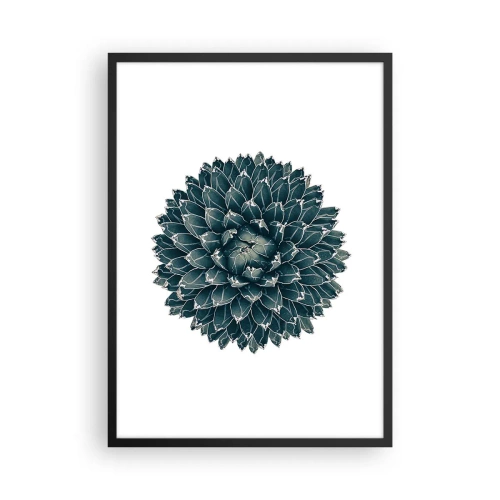 Affiche dans un cadre noir - Poster - Détail d'une succulente avec une disposition symétrique des feuilles - 50x70cm - Étoile du désert - Décoration murale moderne pour le salon et la chambre ARTTOR