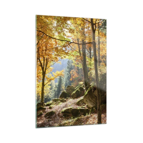 Impression sur verre - Image sur verre - Forêt d'automne avec rayons de soleil et pierres - 50x70cm - Il est temps de se détendre - Décoration murale moderne pour le salon et la chambre ARTTOR