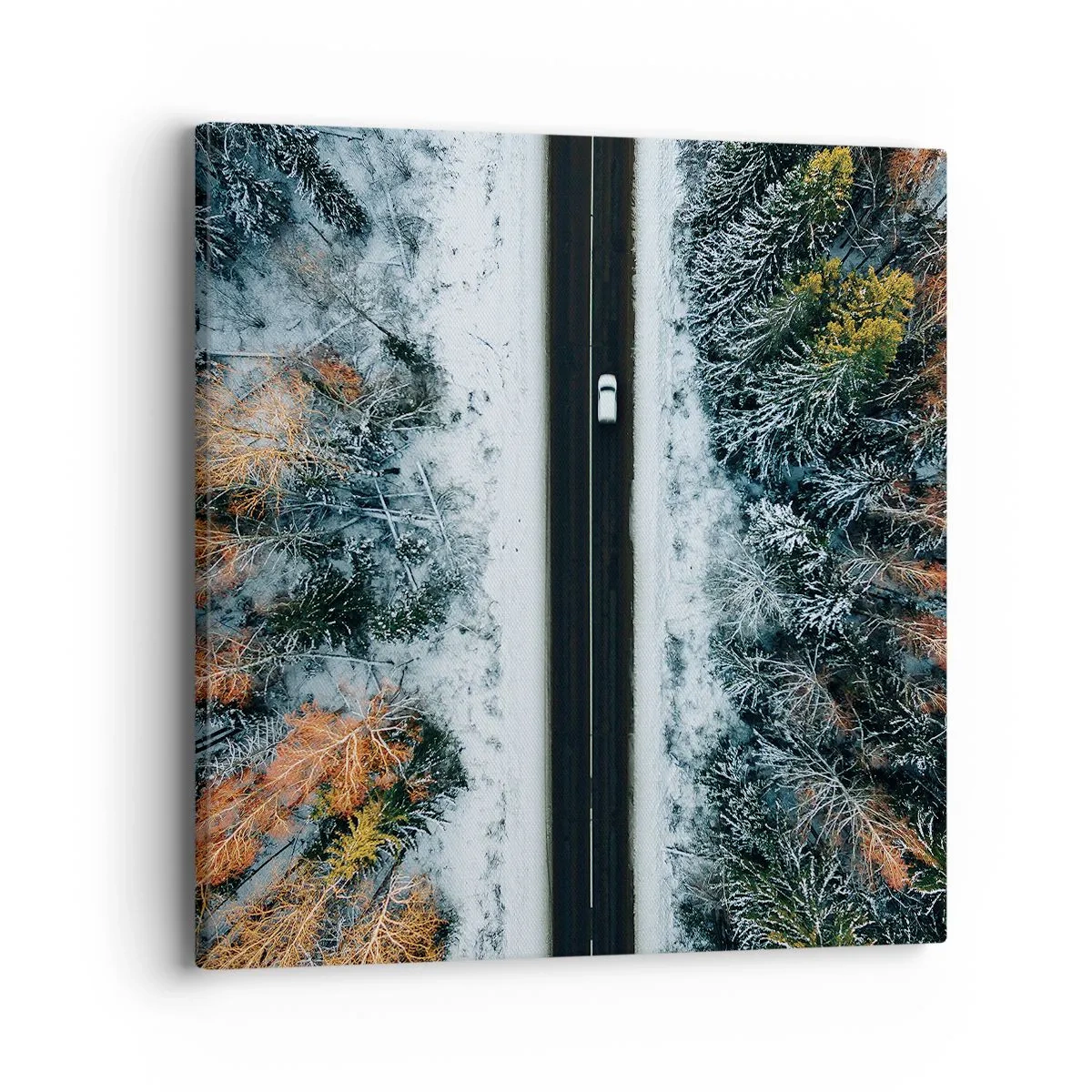 Impression sur toile - Image sur toile - Couper à travers la forêt d'hiver - 40x40 cm