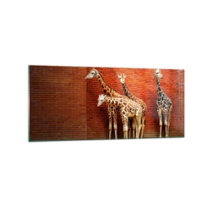 Impression sur verre - Image sur verre - Quatre girafes contre un mur de briques dans un décor artistique - 120x50cm - Voyez-vous des acacias ? - Décoration murale moderne pour le salon et la chambre ARTTOR