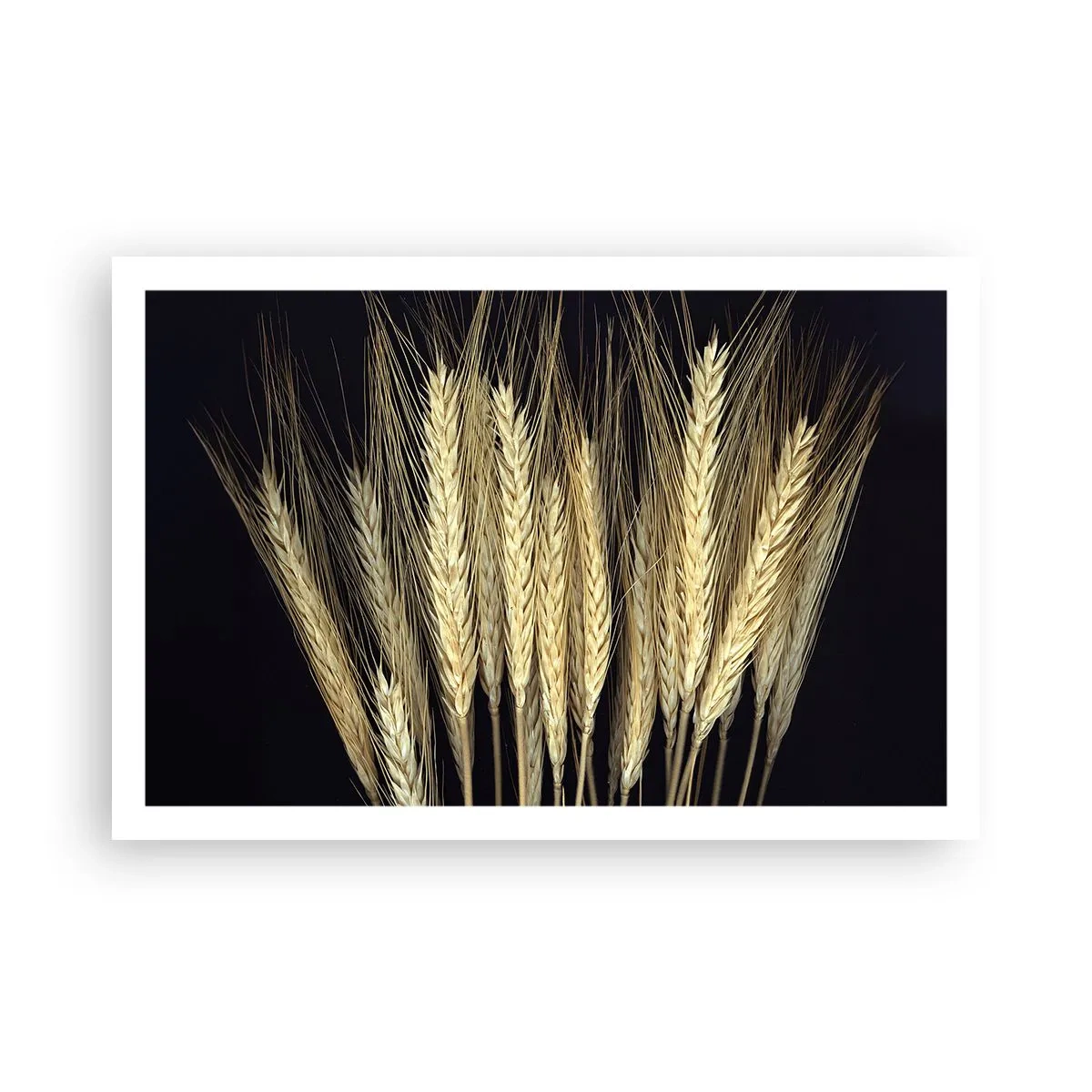 Affiche - Poster - Magie rustique - 91x61 cm