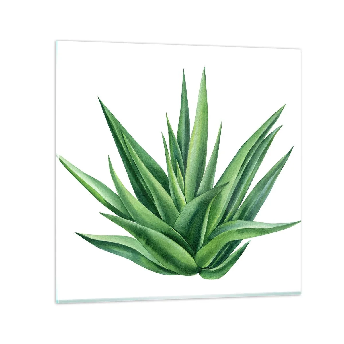 Impression sur verre - Image sur verre - Vert – force – vie - 40x40 cm