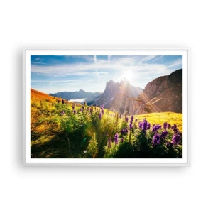 Affiche dans un cadre blanc - Poster - La vie secrète des herbes - 100x70 cm