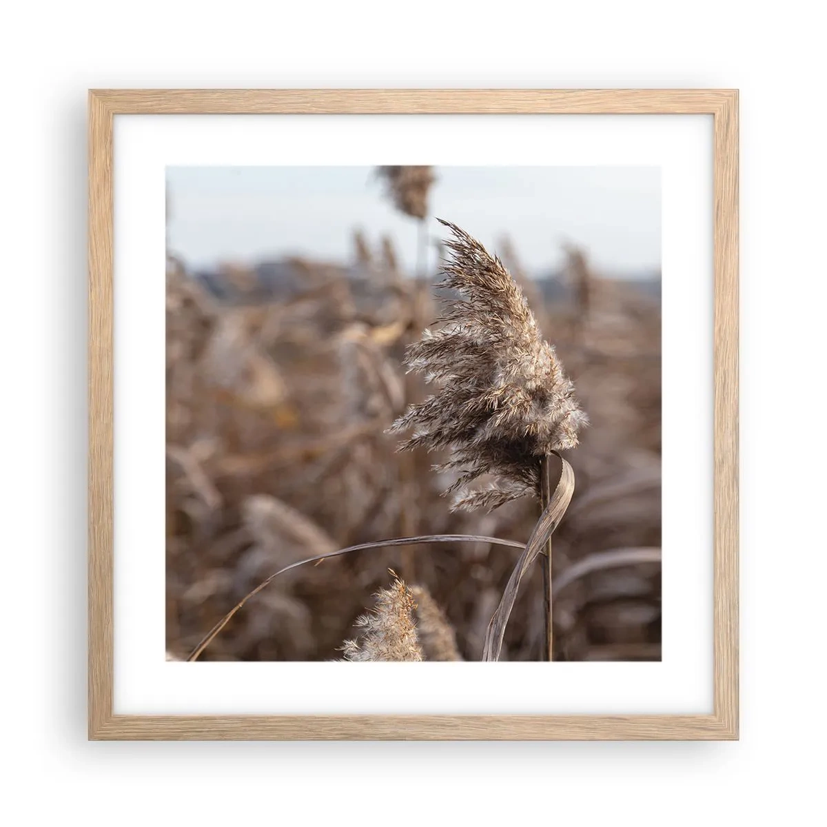 Affiche dans un chêne clair - Poster - Il est temps de s'envoler avec le vent - 40x40 cm