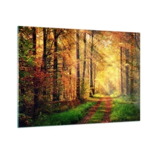 Impression sur verre - Image sur verre - Chemin d'automne dans la forêt avec les rayons du soleil - 100x70cm - Silence d'or en forêt - Décoration murale moderne pour le salon et la chambre ARTTOR