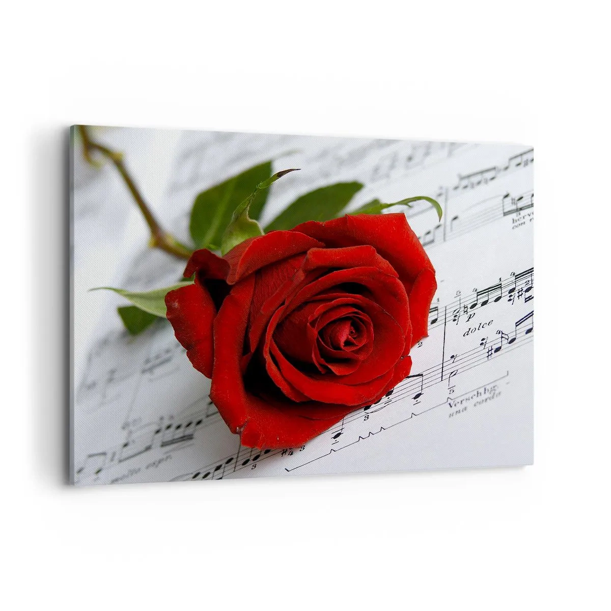Impression sur toile - Image sur toile - Une rose rouge sur fond de notes de musique sur papier blanc. - 100x70cm - Musique des sentiments en écarlate - Décoration murale moderne pour le salon et la chambre ARTTOR