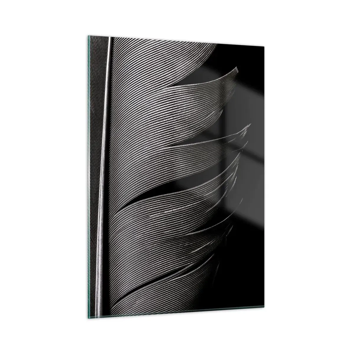 Impression sur verre - Image sur verre - Gros plan noir et blanc d'une plume présentée sous une lumière contrastée. - 50x70cm - La plume – un design magnifique - Décoration murale moderne pour le salon et la chambre ARTTOR