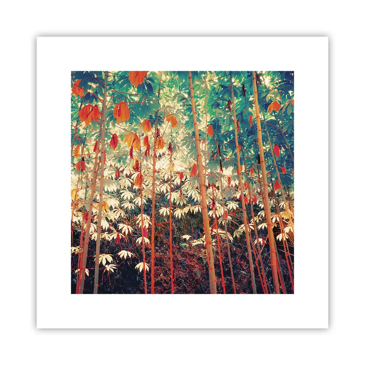 Affiche - Poster - La vie secrète des feuilles - 30x30 cm