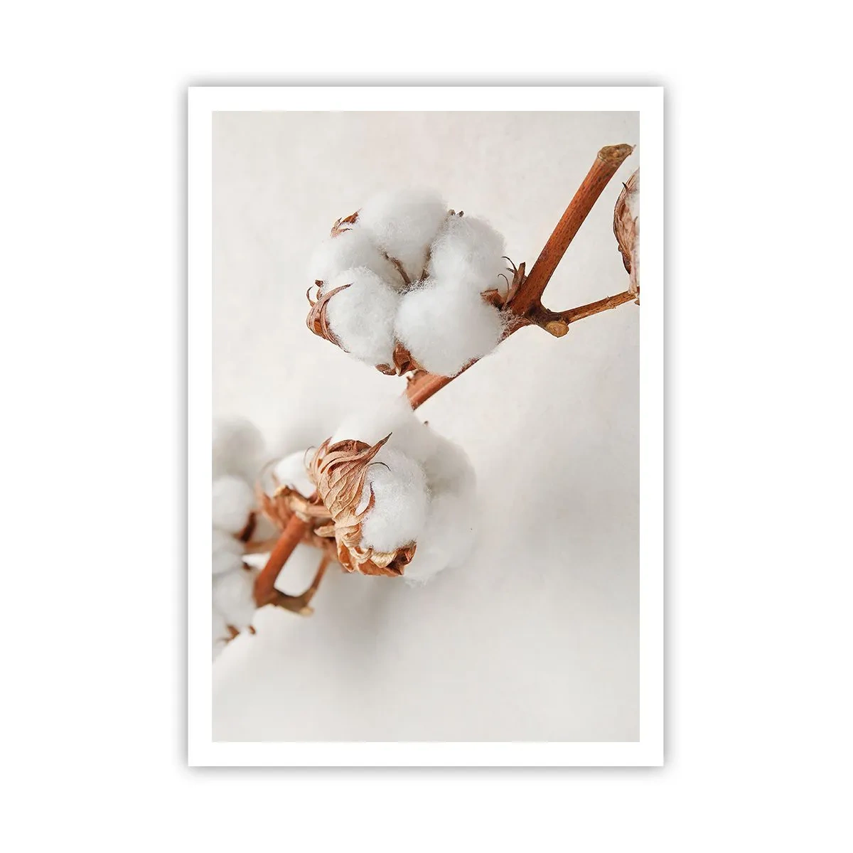 Affiche - Poster - Seulement caliner - 70x100 cm