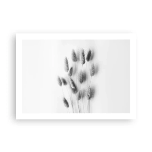 Affiche - Poster - Son herbe duveteuse - 70x50 cm