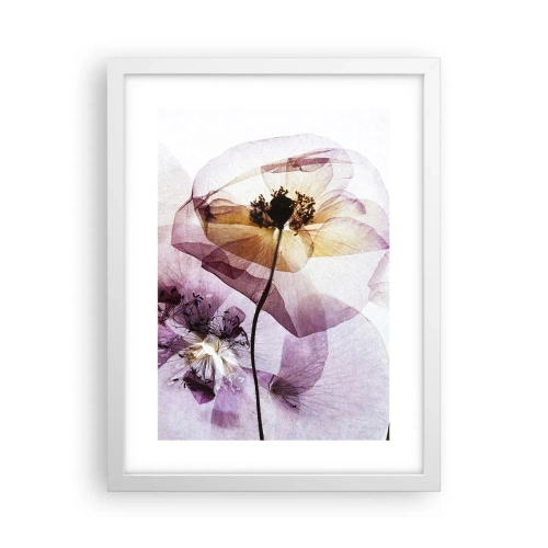 Affiche dans un cadre blanc - Poster - Corps de fleurs transparente - 30x40 cm