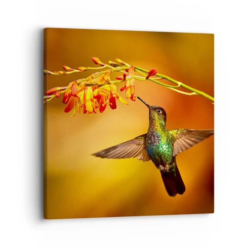 Impression sur toile - Image sur toile - Un messager de lumière selon les Mayas - 30x30 cm