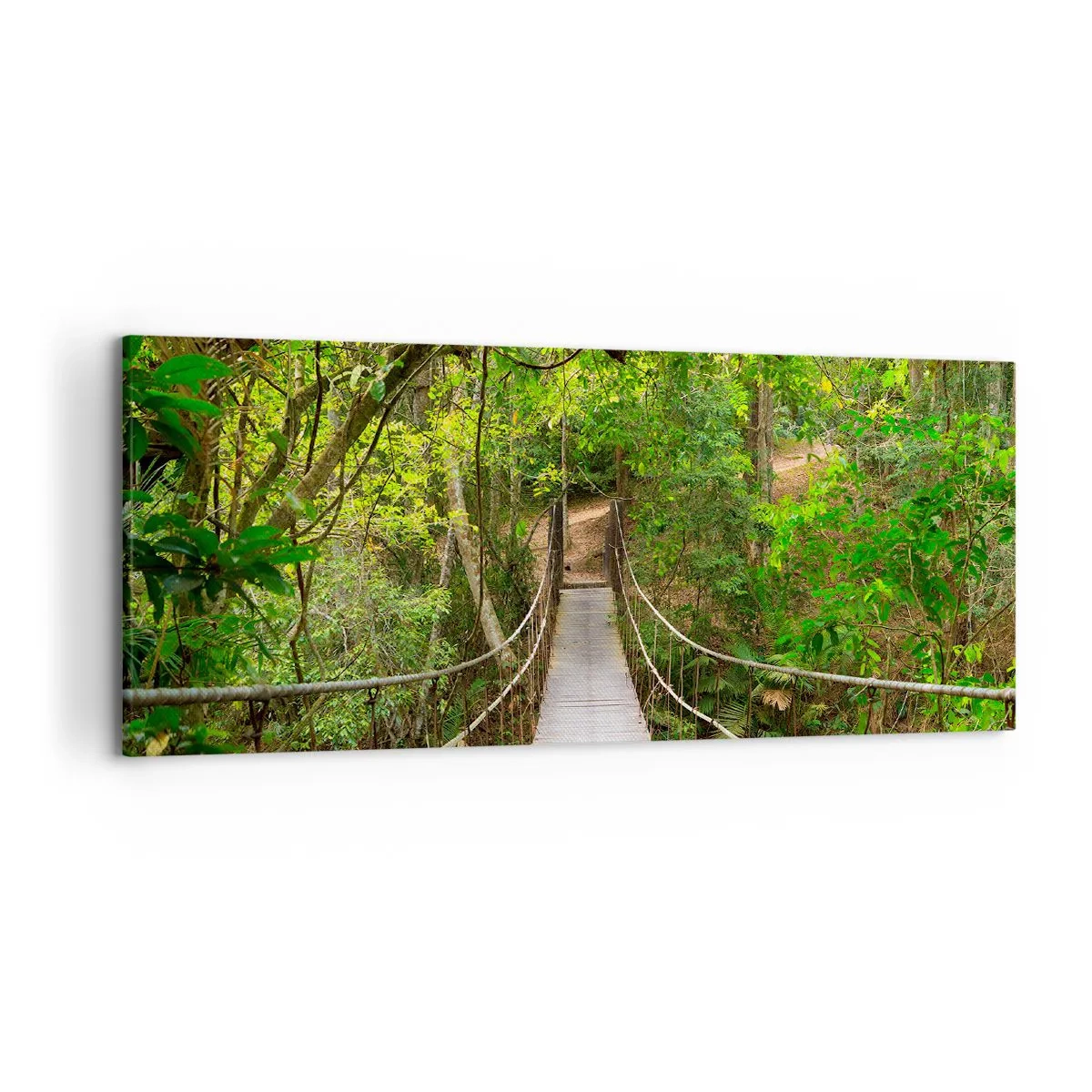 Impression sur toile - Image sur toile - Un pont suspendu entouré d'une forêt tropicale verte - 120x50cm - Parce qu'il y a une plante grimpante dans le jardin - Décoration murale moderne pour le salon et la chambre ARTTOR