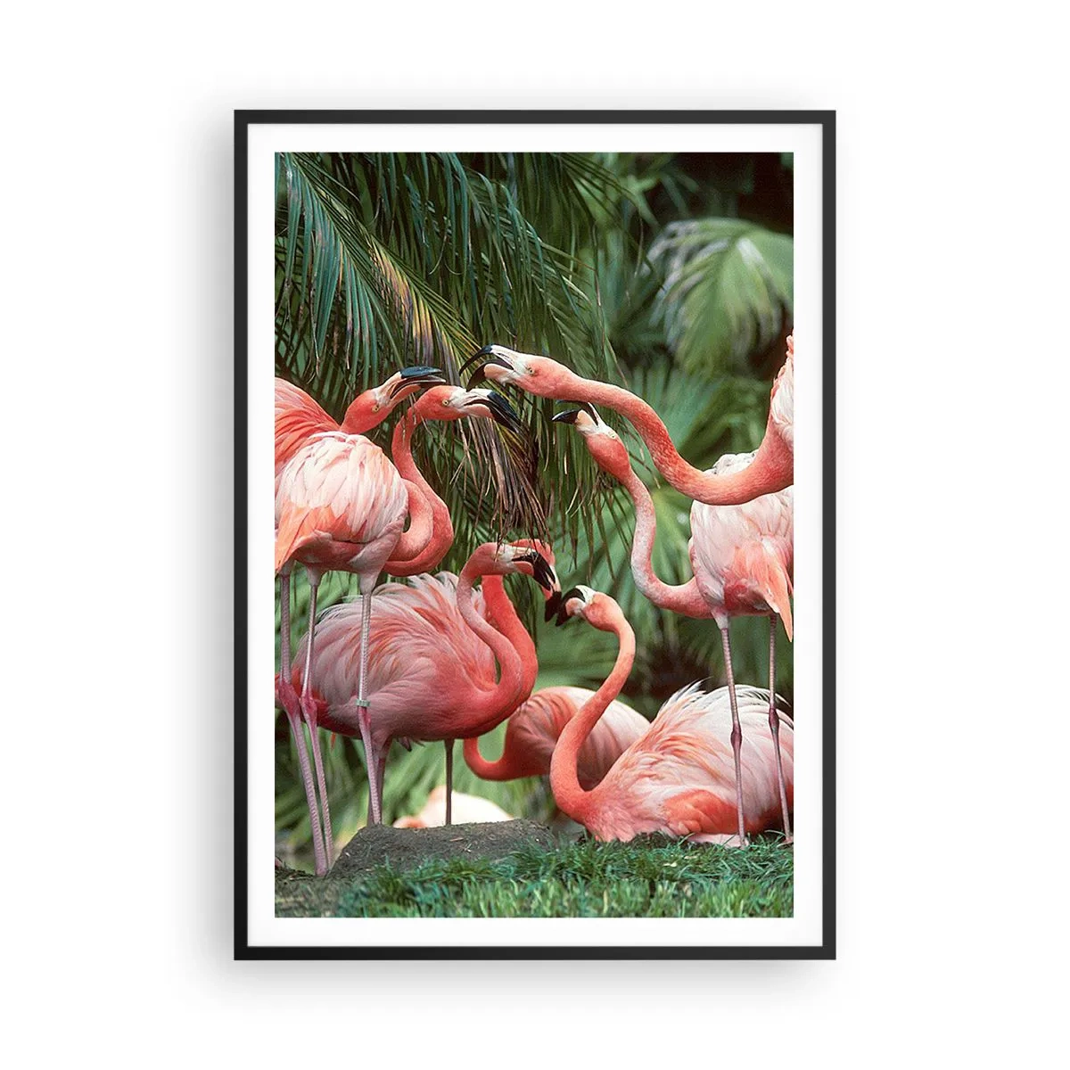 Affiche dans un cadre noir - Poster - Potins d'après-midi - 70x100 cm