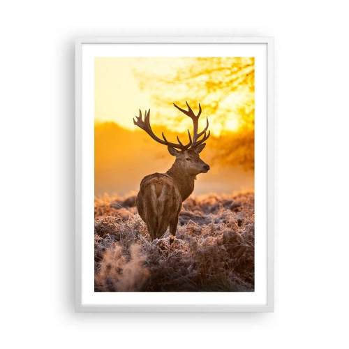 Affiche dans un cadre blanc - Poster - Roi de la forêt automnal - 50x70 cm