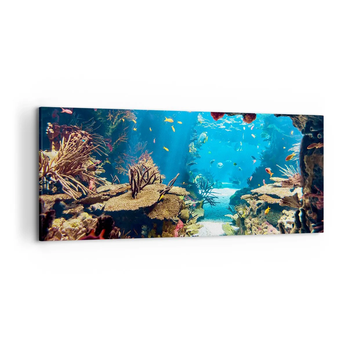 Impression sur toile - Image sur toile - Monde sous-marin avec récif corallien et poissons - 120x50cm - Tu ne l'as même pas rêvé - Décoration murale moderne pour le salon et la chambre ARTTOR