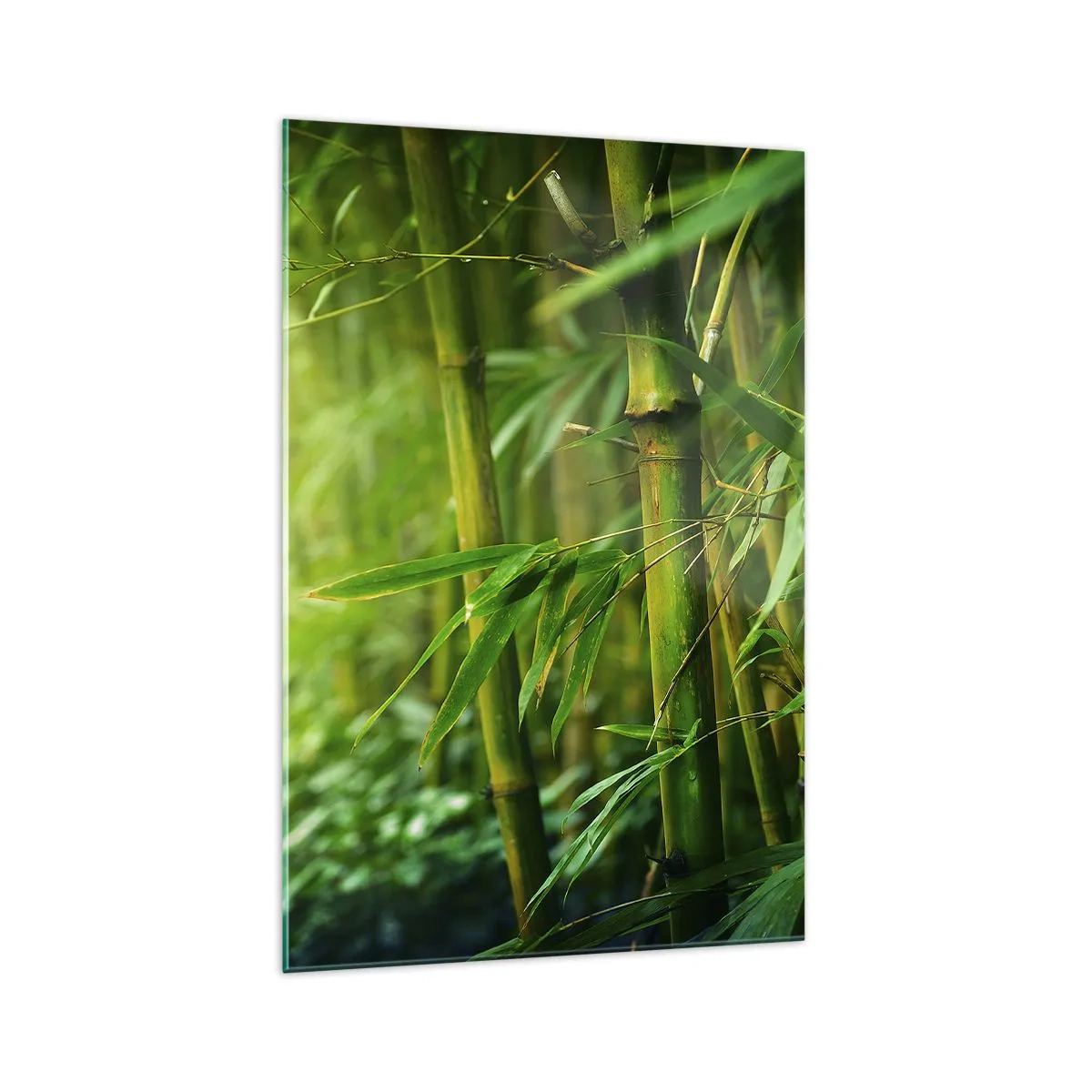 Impression sur verre - Image sur verre - Forêt de bambous verts dans une lumière douce - 70x100cm - Apprenez à connaître le vert lui-même - Décoration murale moderne pour le salon et la chambre ARTTOR