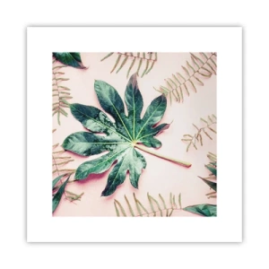 Affiche - Poster - Étude de verdure sur fond rose - 30x30 cm