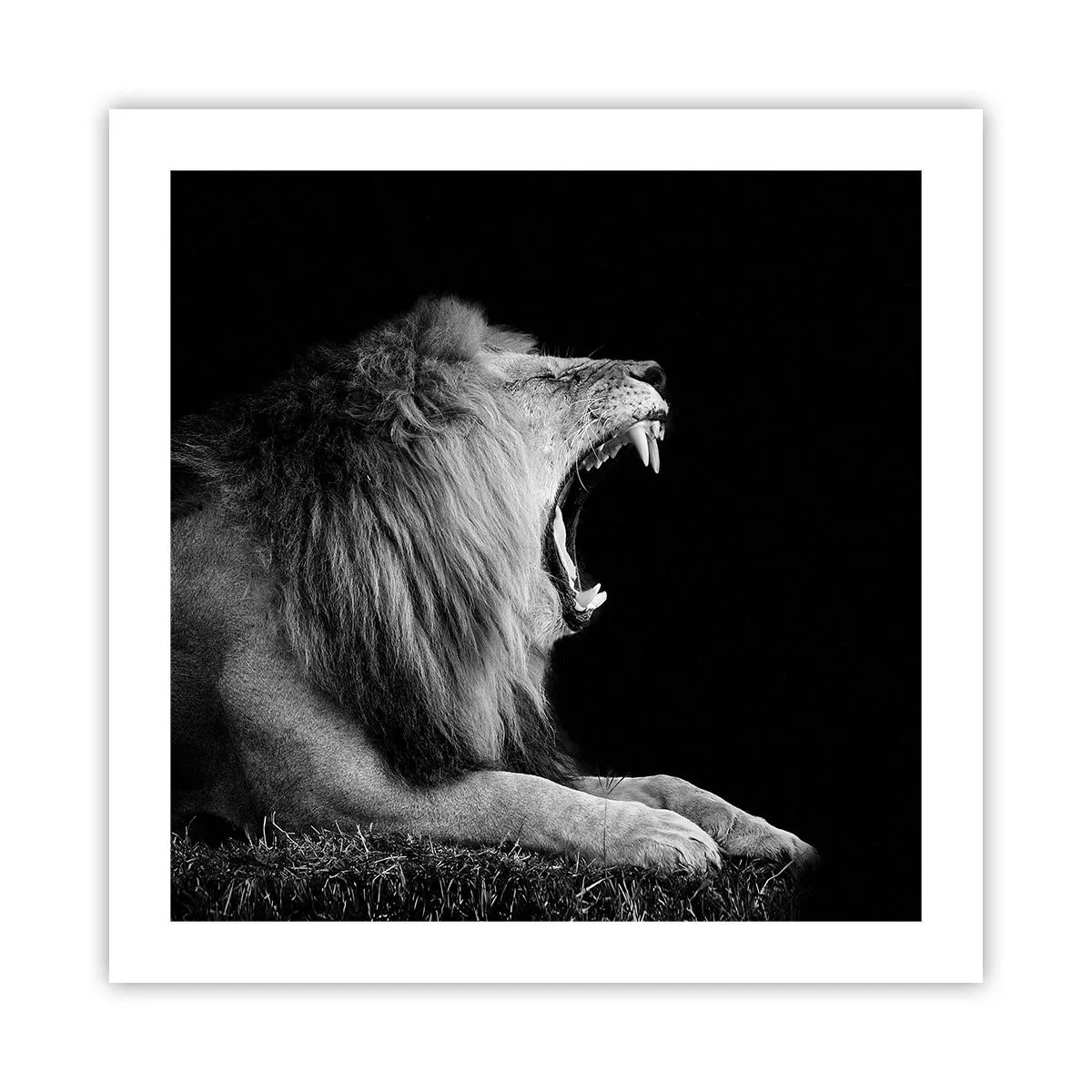 Affiche - Poster - Sans aucun doute - 50x50 cm