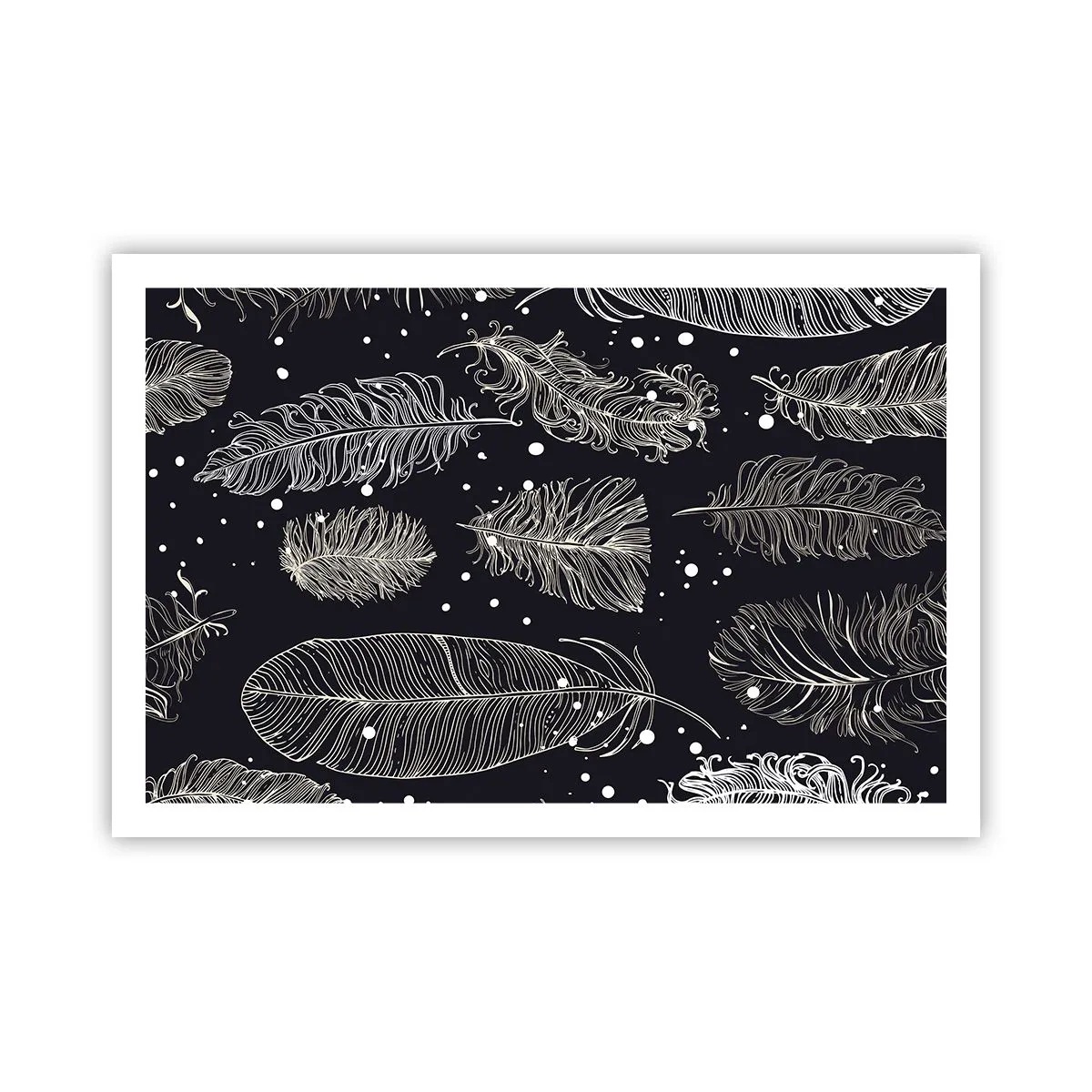 Affiche - Poster - Toile de plumes - 91x61 cm