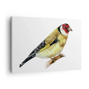 Impression sur toile - Image sur toile - Un oiseau à tête rouge sur une branche - 70x50cm - Portrait d'oiseau - Décoration murale moderne pour le salon et la chambre ARTTOR