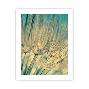 Affiche - Poster - En attente du vent - 40x50 cm