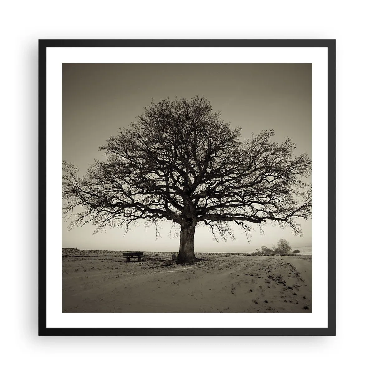 Affiche dans un cadre noir - Poster - D'ici à l'éternité - 60x60 cm