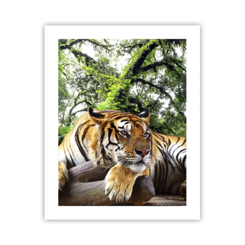 Affiche - Poster - Cordialement - 40x50 cm