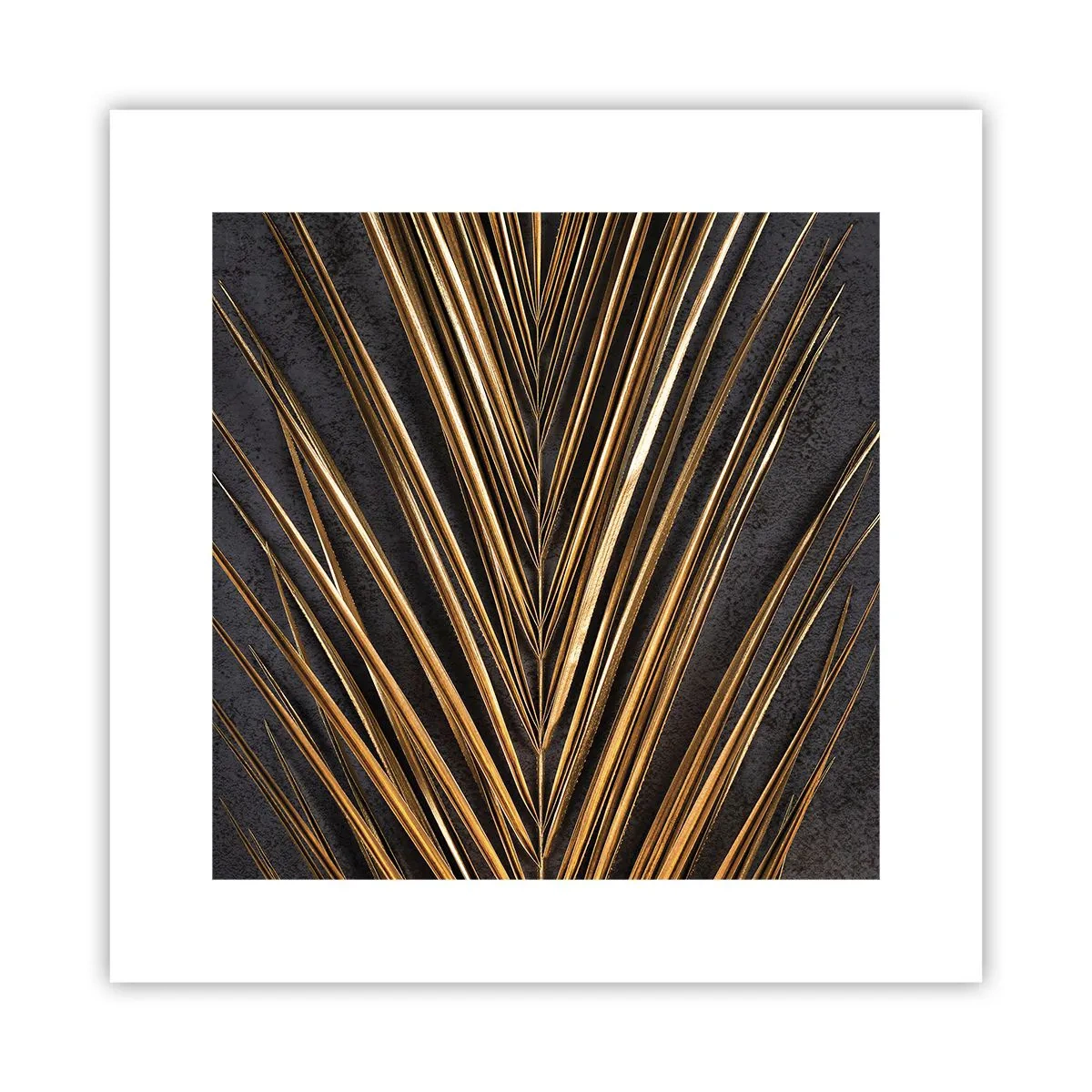 Affiche - Poster - L'or des tropiques - 30x30 cm