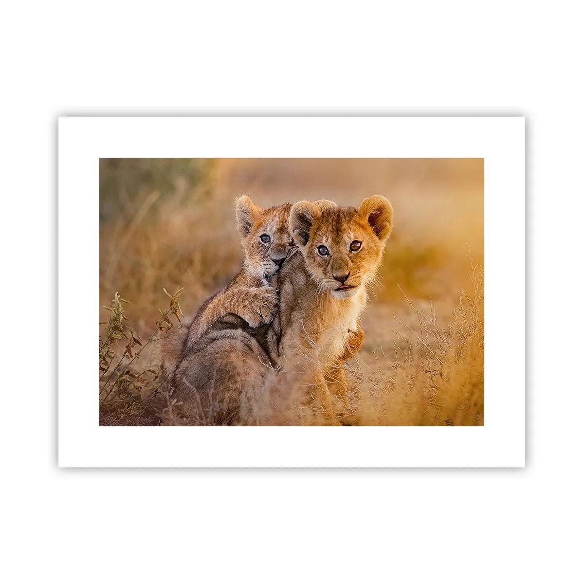 Affiche - Poster - Ne pas déranger! On s'amuse - 40x30 cm