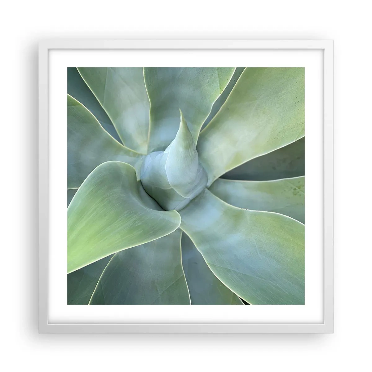 Affiche dans un cadre blanc - Poster - La naissance de la verdure - 50x50 cm