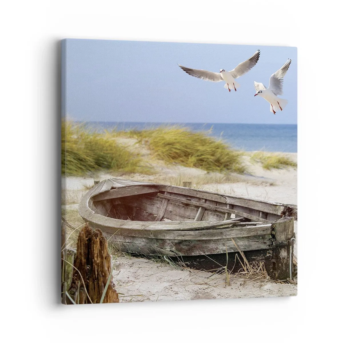 Impression sur toile - Image sur toile - Bain de vent - 40x40 cm