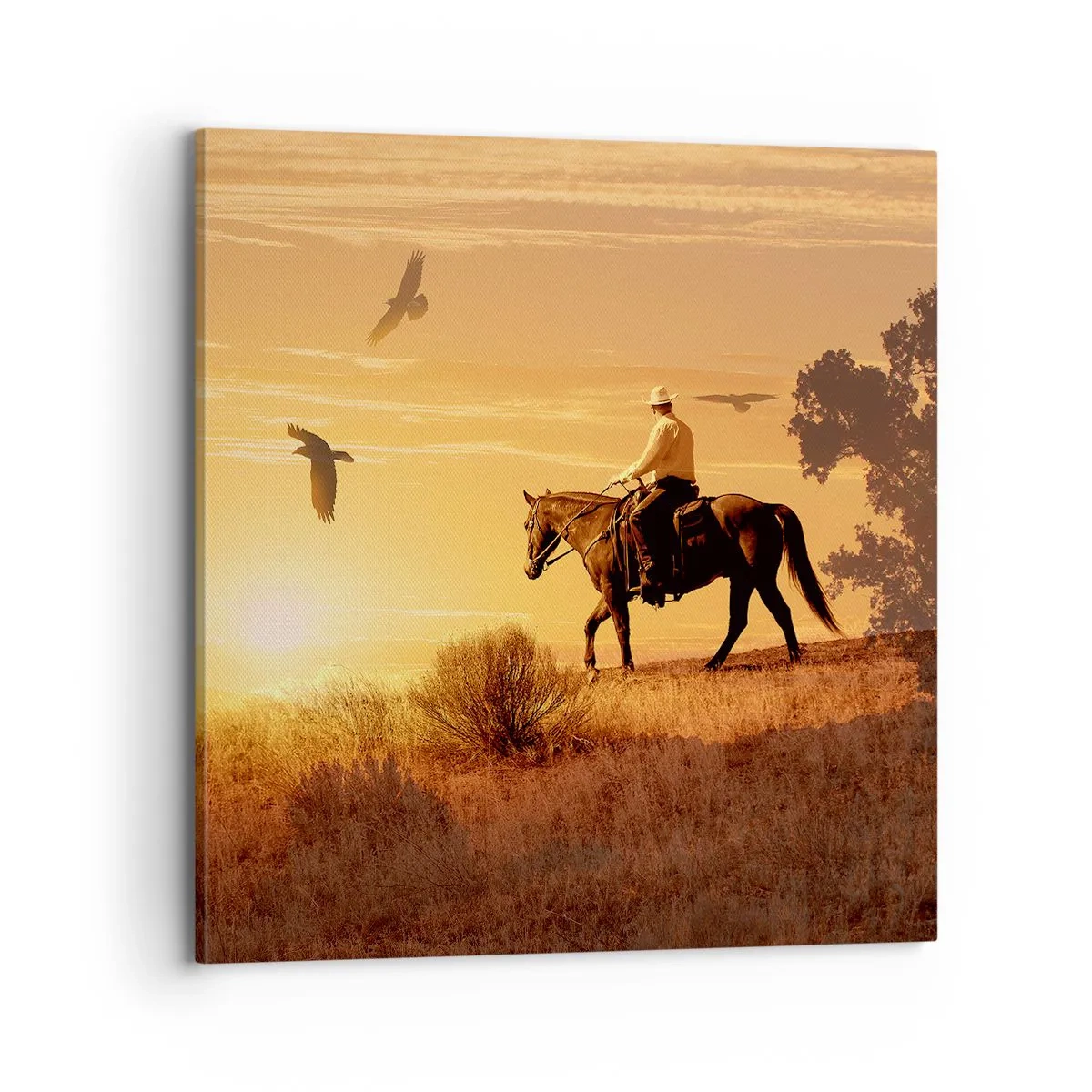 Impression sur toile - Image sur toile - Seul à travers la prairie - 70x70 cm