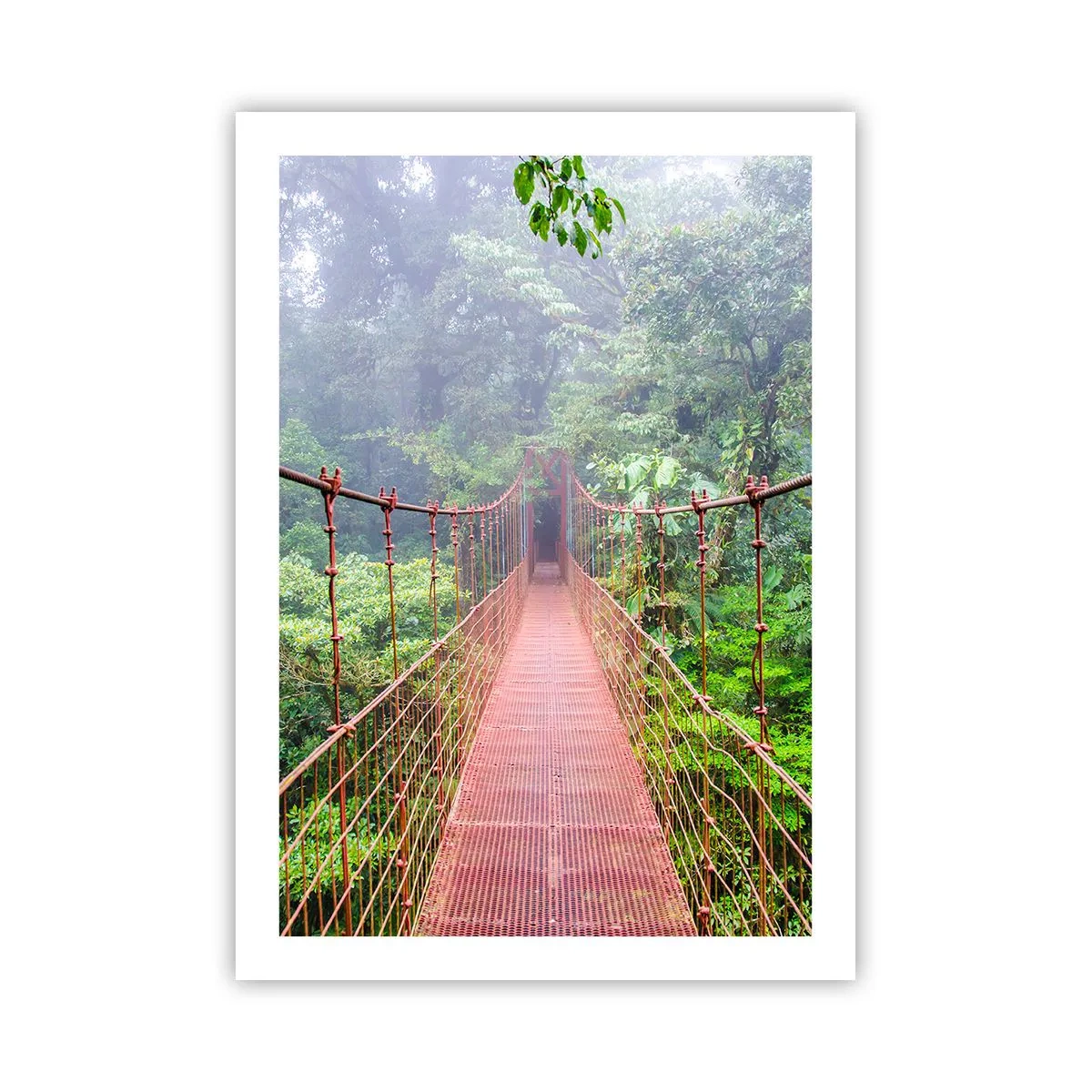 Affiche - Poster - Un pont suspendu dans une forêt tropicale enveloppée de brouillard - 50x70cm - Suspendu sur les couronnes - Décoration murale moderne pour le salon et la chambre ARTTOR