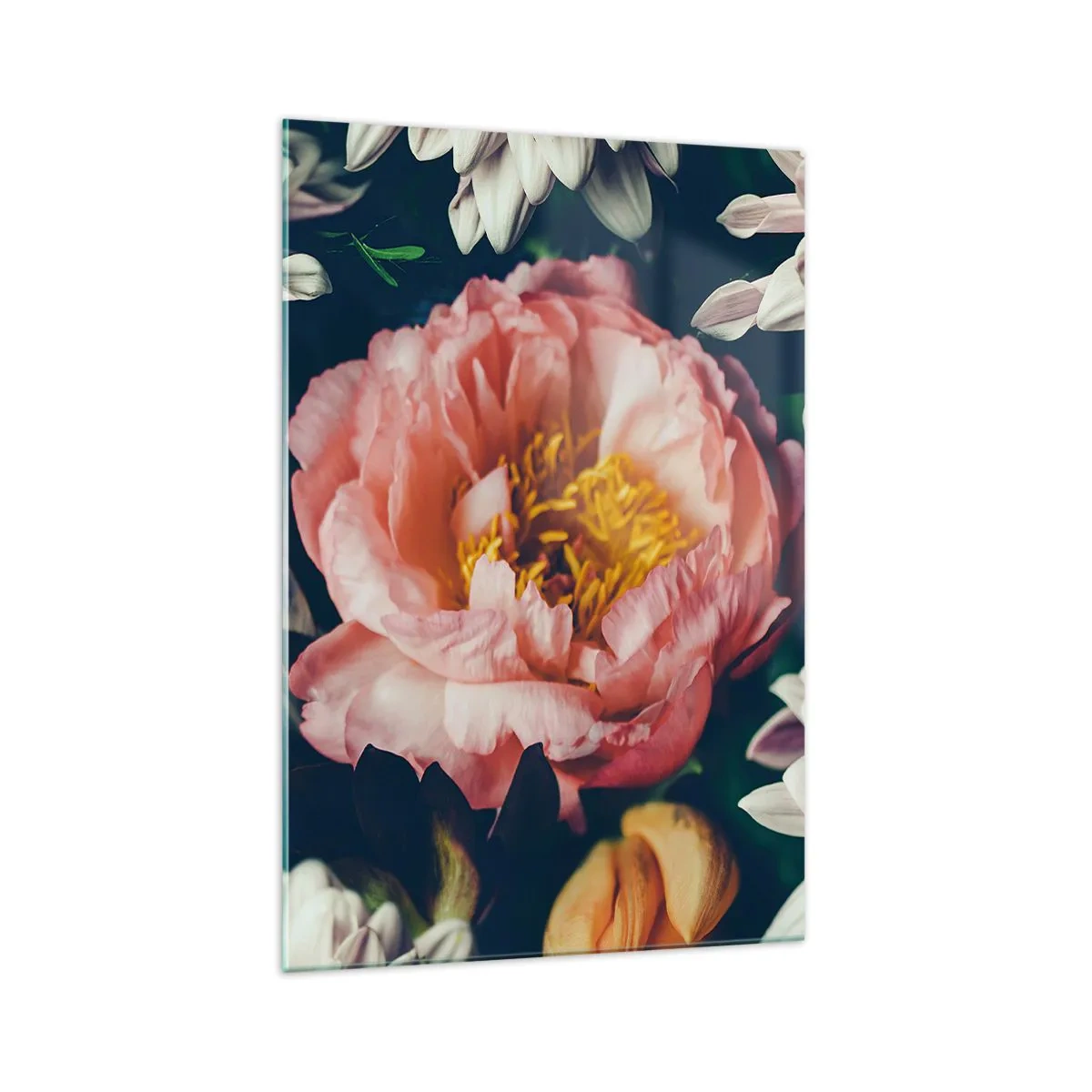 Impression sur verre - Image sur verre - Composition florale avec pivoines et chrysanthèmes sur fond sombre - 70x100cm - Splendeur baroque - Décoration murale moderne pour le salon et la chambre ARTTOR