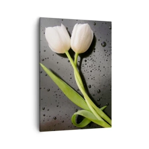 Impression sur toile - Image sur toile - Tulipes blanches sur fond noir avec des gouttes d'eau - 50x70cm - Tissage de printemps - Décoration murale moderne pour le salon et la chambre ARTTOR