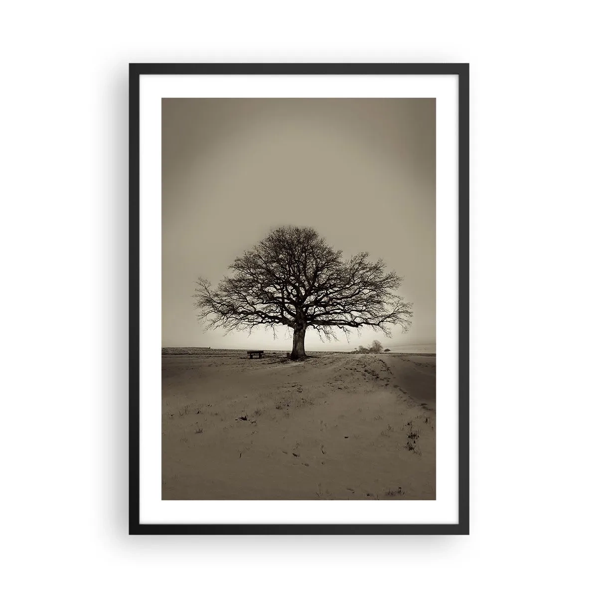 Affiche dans un cadre noir - Poster - Un arbre solitaire dans un paysage sépia vide - 50x70cm - D'ici à l'éternité - Décoration murale moderne pour le salon et la chambre ARTTOR