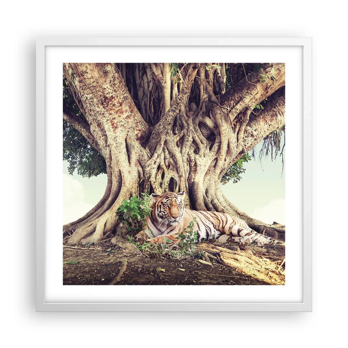 Affiche dans un cadre blanc - Poster - Vue du Livre de la Genèse - 50x50 cm