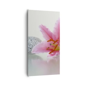 Impression sur toile - Image sur toile - Étude de rose, gris et blanc - 65x120 cm