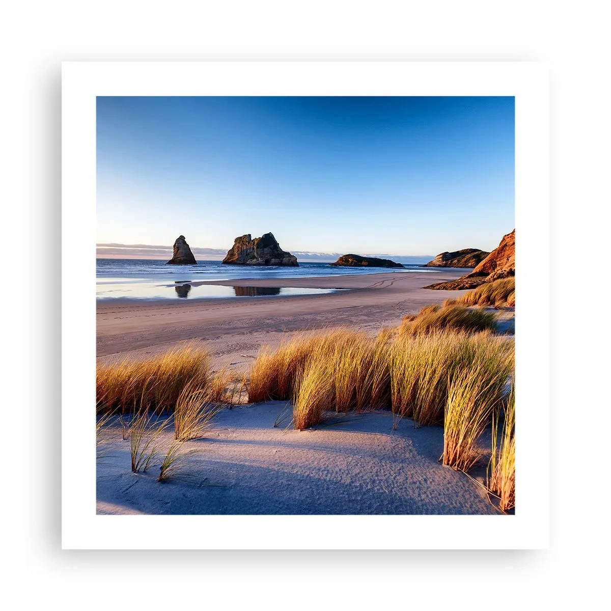 Affiche - Poster - Pour les chercheurs de paix - 50x50 cm