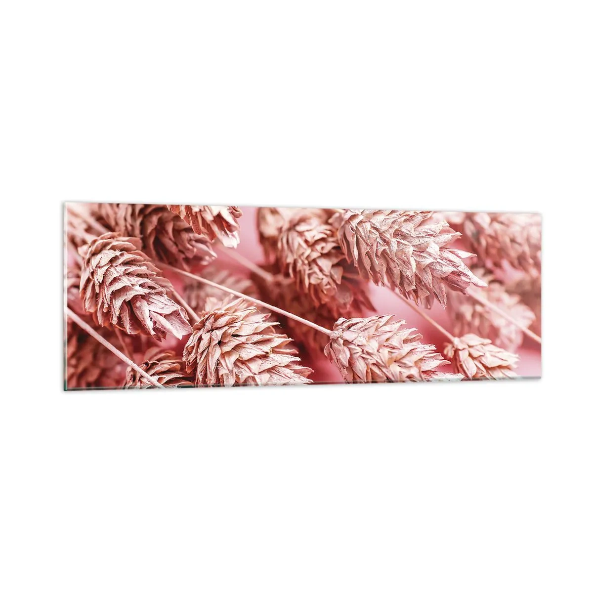 Impression sur verre - Image sur verre - Une cascade florale en rose - 90x30 cm