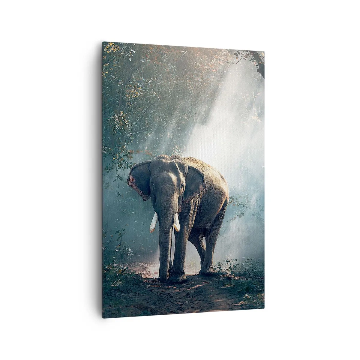 Impression sur toile - Image sur toile - Éléphant dans la lumière de la forêt - 80x120cm - Une balade tranquille - Décoration murale moderne pour le salon et la chambre ARTTOR