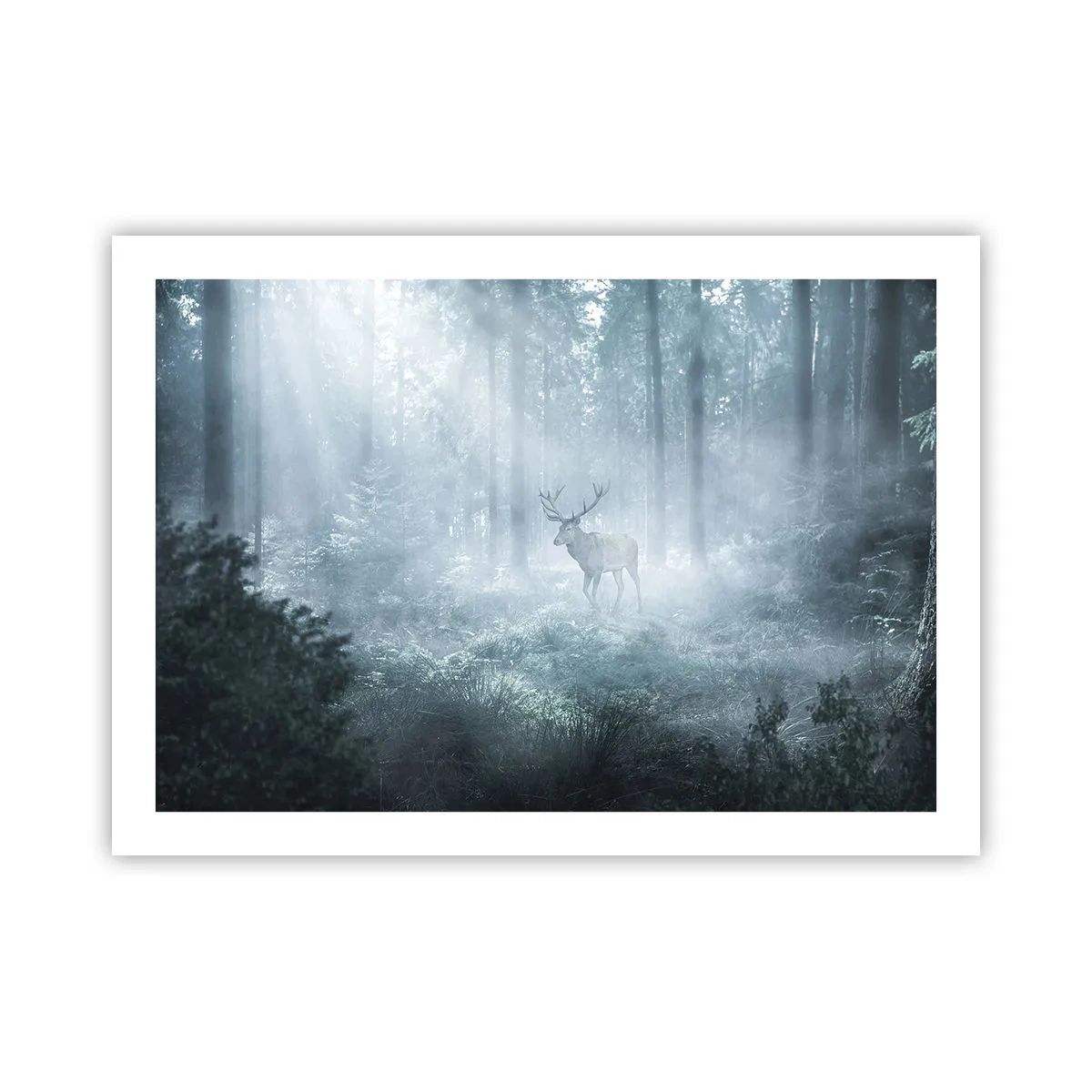 Affiche - Poster - Visite matinale du domaine - 70x50 cm